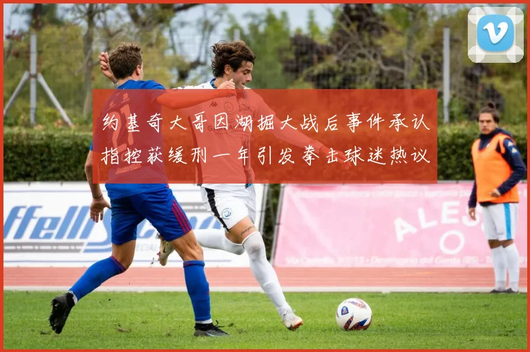 约基奇大哥因湖掘大战后事件承认指控获缓刑一年引发拳击球迷热议